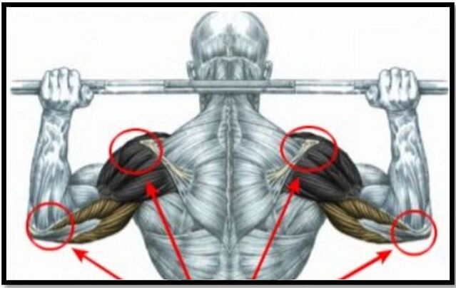 Loading of the shoulder and elbow muscles is one of the causes of shoulder arthritis